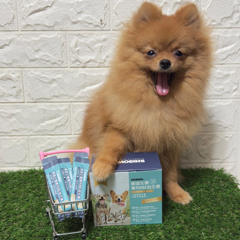 女人知己試用大隊,口碑行銷,部落客行銷,Moegis萌吉 腸道生機專利RBE益生菌,寵物益生菌,專利RBE益生元,專利蔬果酵素,小分子胜肽,藍藻粉,維持免疫力,幫助維持消化道機能,維持正常食慾,改變細菌叢生態,腸胃保健,犬貓適用